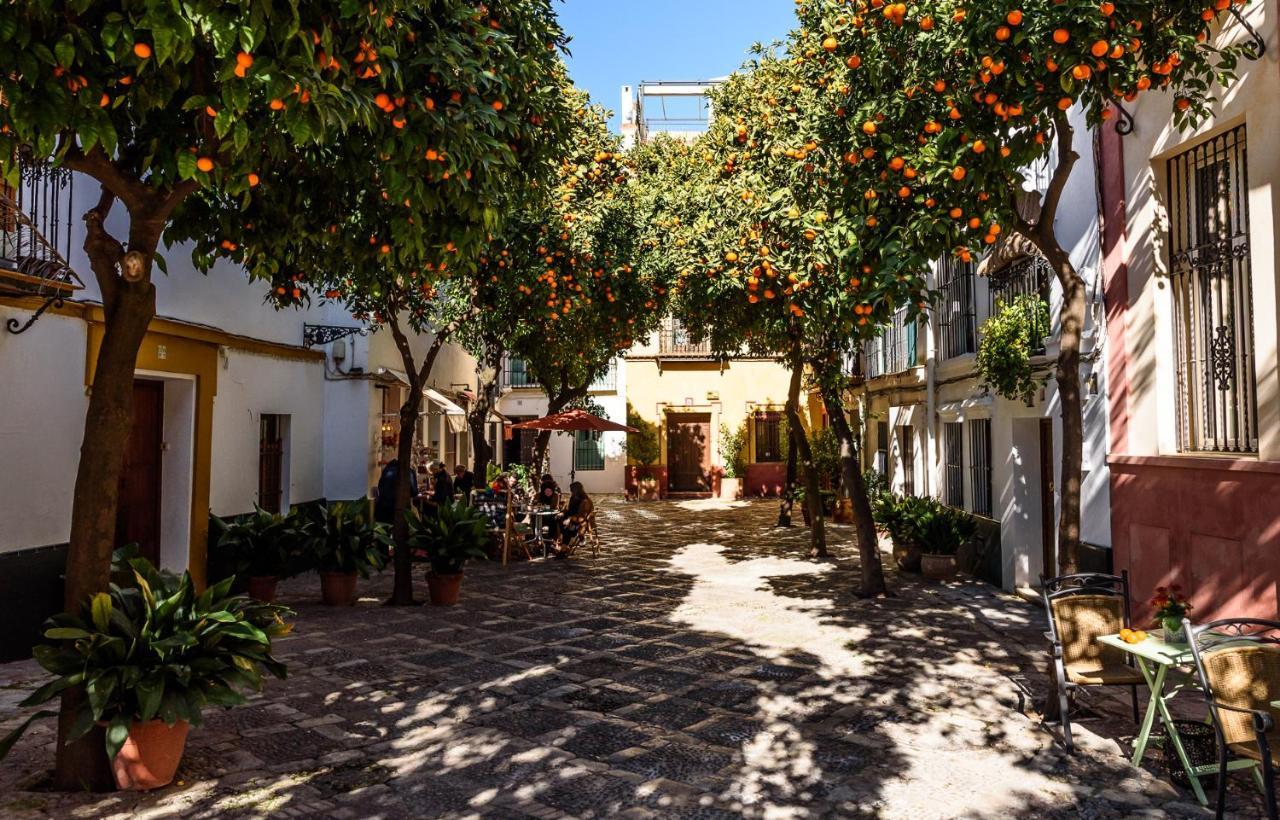 Wish Suite La Mata De Sevilla ภายนอก รูปภาพ